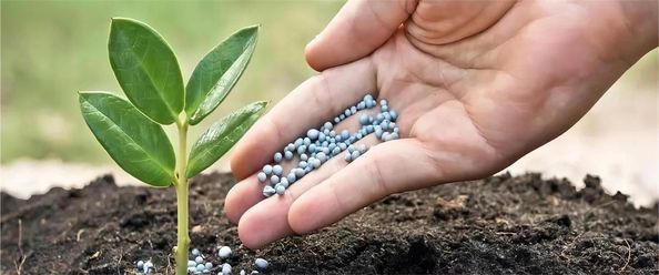 chất lượng Phụ gia thực phẩm và thức ăn chăn nuôi nhà máy