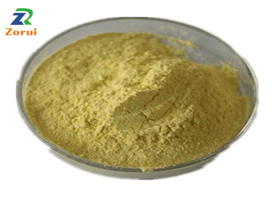 Giá tốt. Sophora Japonica Extract / Quercetin Powder Bulk for Cough Suppressant Expectorant CAS 117-39-5 trực tuyến