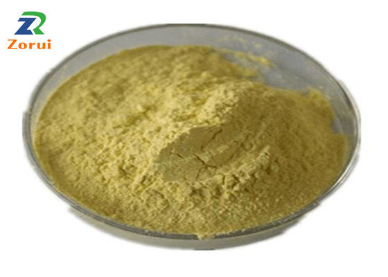 Giá tốt. Sophora Japonica Extract/ Quercetin Powder For Cough Thuốc ức chế ho và thuốc nhai CAS 117-39-5 trực tuyến