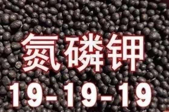 Giá tốt. Phân hợp phân bón NPK 19-19-19 Thúc đẩy tăng trưởng thực vật và tối đa hóa năng suất cây trồng 19:19:19 online