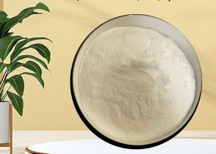 Giá tốt. GDL CAS 90-80-2 Bột trắng cấp thực phẩm Glucono Delta Lactone cho các sản phẩm sữa trực tuyến
