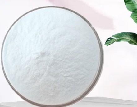 Giá tốt. Bột dừa chất lượng thực phẩm bột sữa dừa bột mỡ dừa trực tuyến