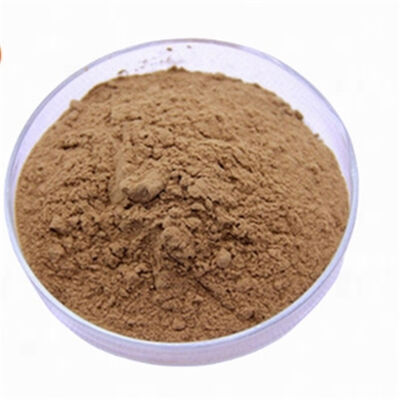 Giá tốt. Chiết xuất Ginkgo Biloba CAS 90045-36-6 chất chống oxy hóa mỹ phẩm Flavonoid để chống lão hóa chăm sóc da trực tuyến
