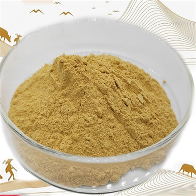 Giá tốt. Cas 90147-43-6/ 30655-48-2 Withanolide Ashwagandha chiết xuất Withania Somnifera chiết xuất trực tuyến