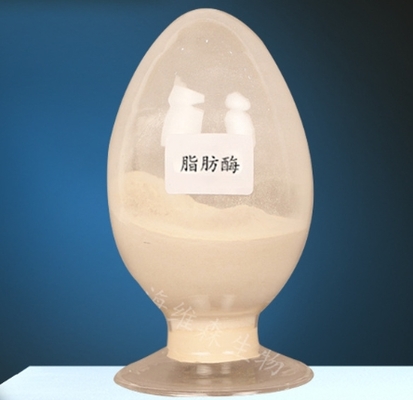 Giá tốt. Enzyme Lipase CAS 9001-62-1 cho Chuyển hóa Lipid Độ tinh khiết 99% trực tuyến