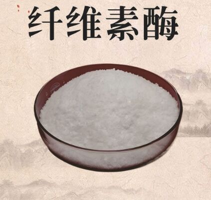 Giá tốt. Enzyme cellulase CAS 9012-54-8 Bột trắng 99% độ tinh khiết trực tuyến