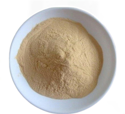 Giá tốt. CAS 8013-01-2 Chiết xuất nấm men tăng hương vị từ Saccharomyces Cerevisiae trực tuyến