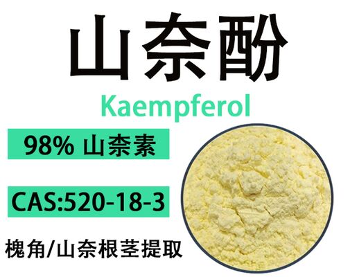 Giá tốt. CAS 520-18-3 Công thức chống oxy hóa và chống lão hóa 98% Bột tinh thể màu vàng Kaempferol trực tuyến