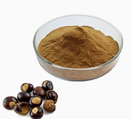 Giá tốt. CAS 8053-39-2 Chiết xuất hạt Aesculus Hippocastanum Mỹ phẩm chống lão hóa Chiết xuất hạt dẻ ngựa trực tuyến