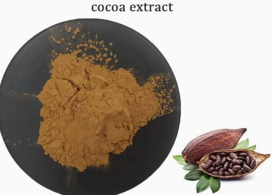 Giá tốt. CAS 84649-99-0 Chiết xuất ca cao Theobroma cho thực phẩm và đồ uống Chiết xuất ca cao trực tuyến