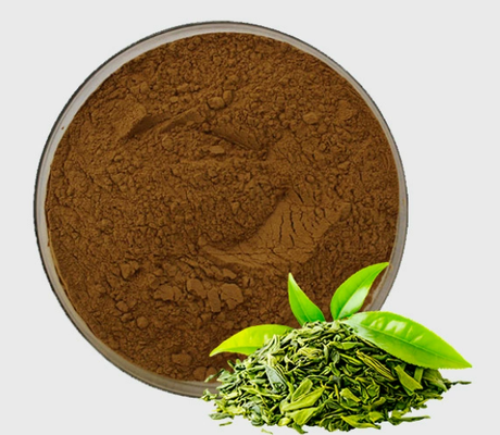 Giá tốt. Chiết xuất trà xanh tự nhiên CAS 84650-60-2 Tea Polyphenol Powder Grade Cosmetic trực tuyến