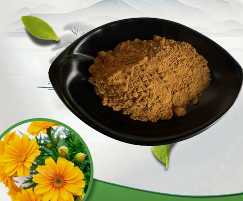 Giá tốt. Chiết xuất Calendula Officinalis tự nhiên CAS 84776-23-8 Bột chất lượng mỹ phẩm trực tuyến